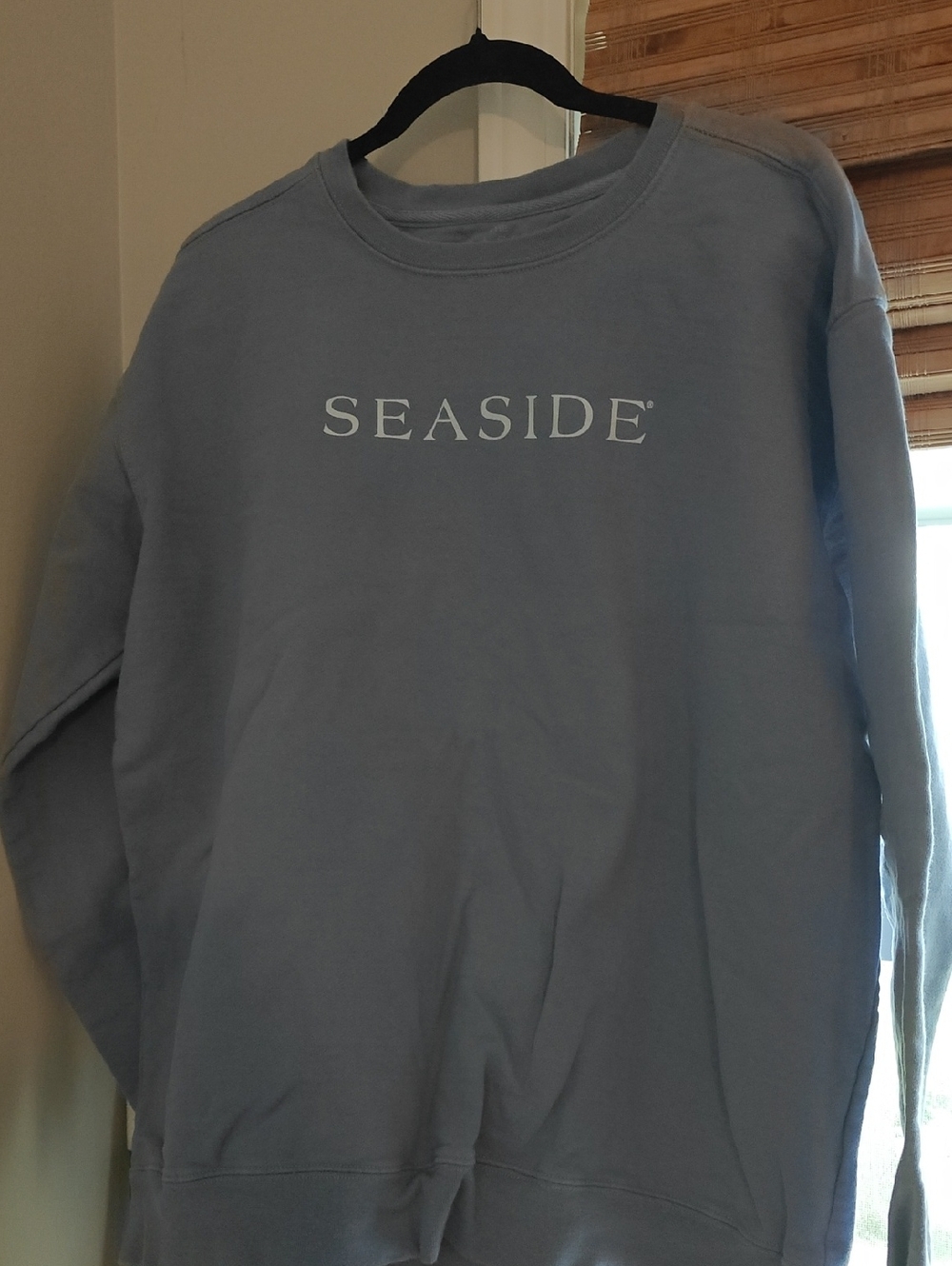 Seaside Women's Crewneck Sweatshirt in Light Blue